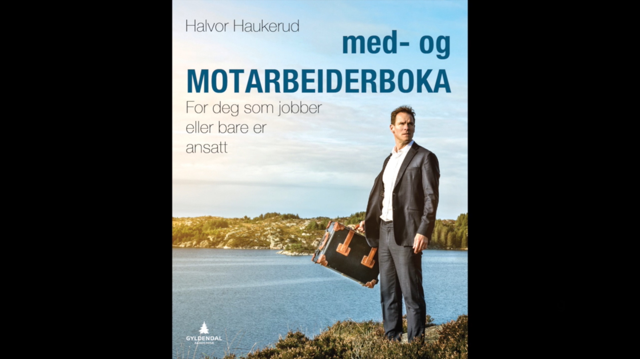 med- og MOTARBEIDERBOKA av Halvor Haukerud - For deg som jobber eller bare er ansatt
